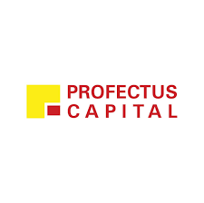 Profectus Capital Logo